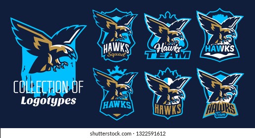 A colorful set of logos, stickers, emblems of flying eagle, hawk. Bird, hunter, predator, dangerous animal, shield, lettering. Mascot sports club, vector illustration