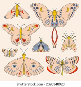 Colorful set of moths and butterflies. Vector illustration