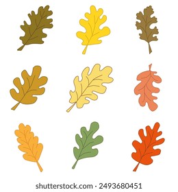 colorful set of oak autumn leaves. hand drawn. vector.	