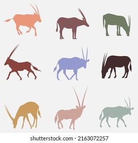 Colorful Set Of Oryx Antelope Vector Illustration