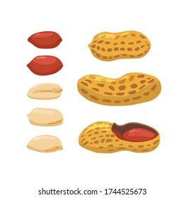 Colorful set of peanuts on a white background. Vector.