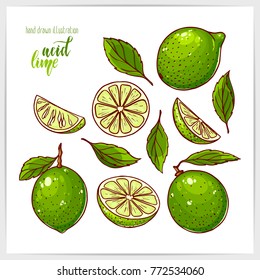 Colorful set of ripe and tasty lime, whole and sliced, with leaves. Hand drawn illustration with hand lettering headline.