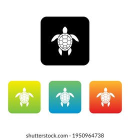 Colorful Set of Sea Turtle Icons