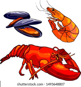 colorful set of seafood, vector