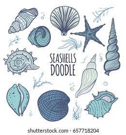 Colorful set of seashells on white background. Hand drawn seashells, starfish, seaweed and coral. Creative seashells of different type.