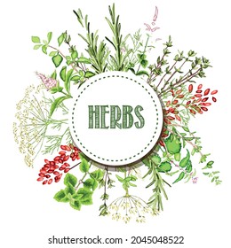 A colorful set of spices, herbs and spices. Bright, colorful hand drawing. Vector for menu, restaurant,
food and kitchen design.