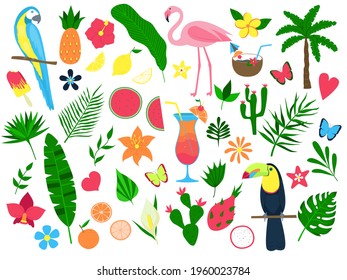 Colorful set of summer tropical elements. Leaves and flowers, fruits, cocktails, birds. Set of stickers, print. Vector illustration