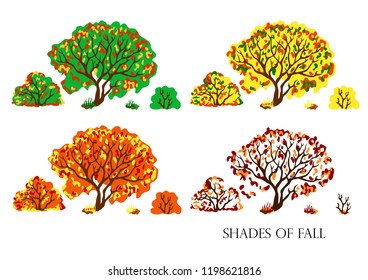 Colorful set of trees in fall colors. Hand drawn. Vector illustration.