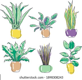 Colorful set of trendy stylish houseplants. Plants in pots for interior home or office. Cartoon flat vector illustration isolated on white
