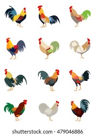 Colorful set of various roosters, cartoon style vector illustration isolated on white background. Collection of color block rooster in 12 different color variations