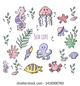 Colorful set of various sea creatures. Cartoon fish, seahorse, turtle, crab, jellyfish, octopus, seastar and shells