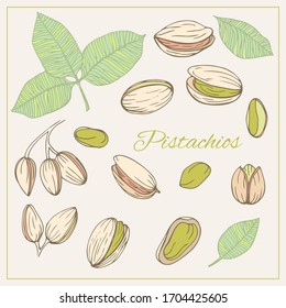 Colorful set vector isolated icons Pistachios. Nuts hand drawn style