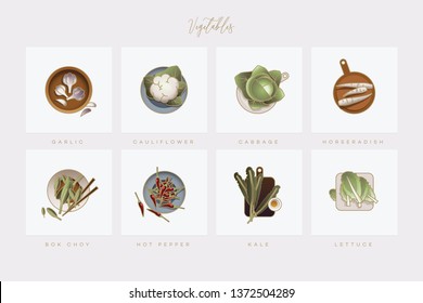 A colorful set of vegetable icons in flat lay setting