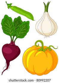 The  colorful set of vegetables