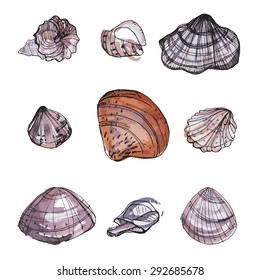 Colorful set of watercolor seashells.