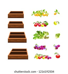 Colorful sets of ripe vegetables, green leaves of lettuce and fruit. Wooden boxes. Vector illustration.

