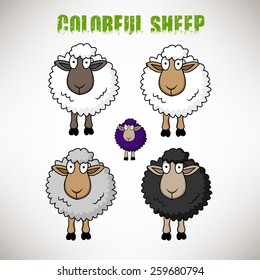Colorful sheep