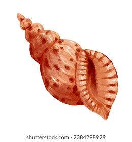 Colorful shell, seashell shell. Vector graphics.