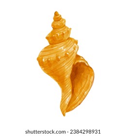 Colorful shell, seashell shell. Vector graphics.