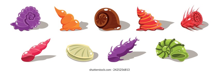Colorful Shells and Conch Sea Element Vector Set
