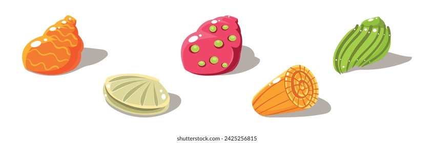 Colorful Shells and Conch Sea Element Vector Set