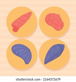 colorful shells icon set design