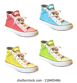 Colorful shoes. Vector design.