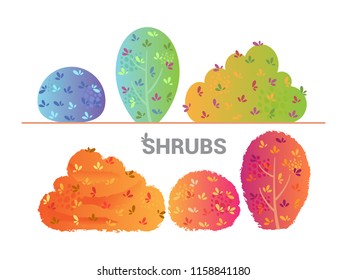 Colorful shrubs isolated
