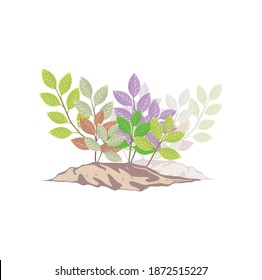 colorful shrubs leaves. decorative tree vector illustrations