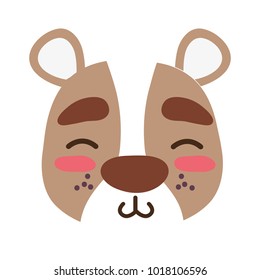 colorful shy bear head wild animal