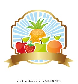 colorful silhouette decorative heraldic frame with still life fruits vector illustration