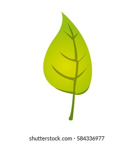 colorful silhouette with green leaf with stem vector illustration