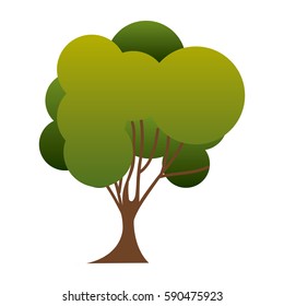 colorful silhouette green tree nature icon with trunk vector illustration