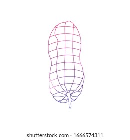 Colorful silhouette peanut vector for background element or ornament design