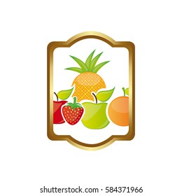 colorful silhouette rectangle heraldic border with still life fruits vector illustration