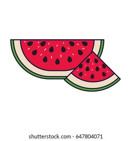 colorful silhouette with set of watermelon fruit sliced vector illustration