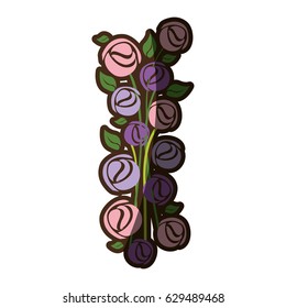 colorful silhouette shading of set bouquet roses vector illustration