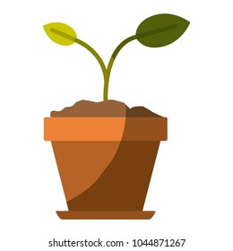 colorful silhouette of small plant in flower pot in closeup and without contour