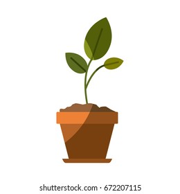 colorful silhouette of small plant in flower pot with half shadow vector illustration