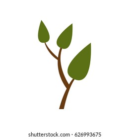 colorful silhouette of small tree with leaves and ramifications vector illustration