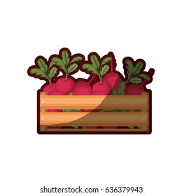 colorful silhouette of wooden box with beets and half shadow vector illustration