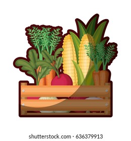 colorful silhouette of wooden box with vegetables and half shadow vector illustration