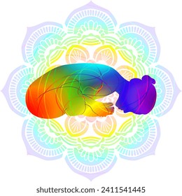 Colorful silhouette of yoga. Baddha Konasana B. Bound Angle 2 pose. Extended Bound Angle pose. Intermediate Difficulty. Isolated vector illustration
