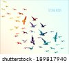 colourful birds flying