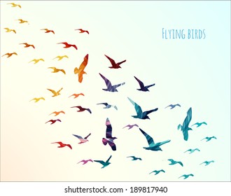 Colorful silhouettes flying birds  vector illustration