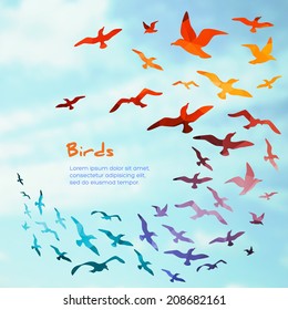 Colorful Silhouettes Of Flying Birds, Vector Illustration.