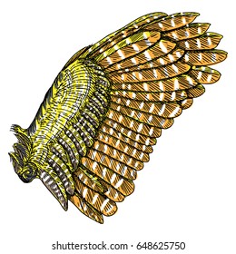 Colorful single eagle bird or angel wing. Colourful etched woodcut vintage style wing. African, Indian totem tattoo design concept for body art. Vector.