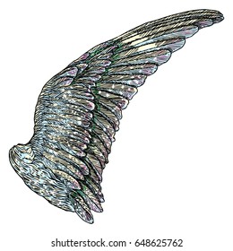 Colorful single eagle bird or angel wing. Colourful etched woodcut vintage style wing. African, Indian totem tattoo design concept for body art. Vector.