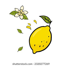 Colorful single element of cute cartoon lemon with lemon flower in doodle style. Element for print, postcard, menu, textile, poster or advertising. Vector illustration EPS10. Isolated on white