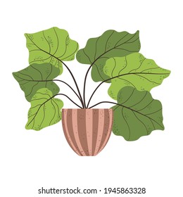 Colorful single houseplants in pot. Vector illustrations of Indoor plant in flowerpot. Flowers in pot in flat cartoon style. Isolated on white background.
